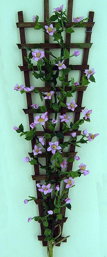 Pink Clematis