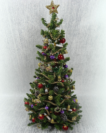 Banner2 (image for) Banner2