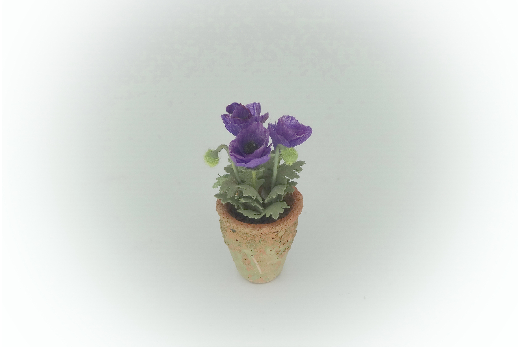 12th Scale dollshouse Purple Poppies (image for) 12th Scale dollshouse Purple Poppies